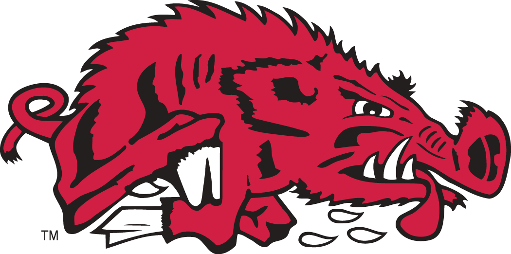 Arkansas Razorbacks 1976-1993 Alternate Logo diy DTF decal sticker